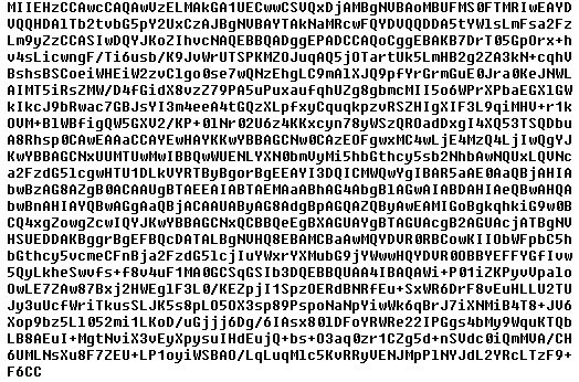 CSR zakódovaná do znaků ASCII metodou Base64