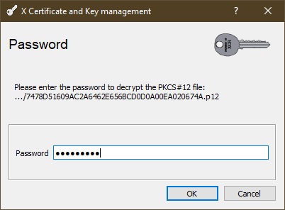Enter the password of PFX/P12 file