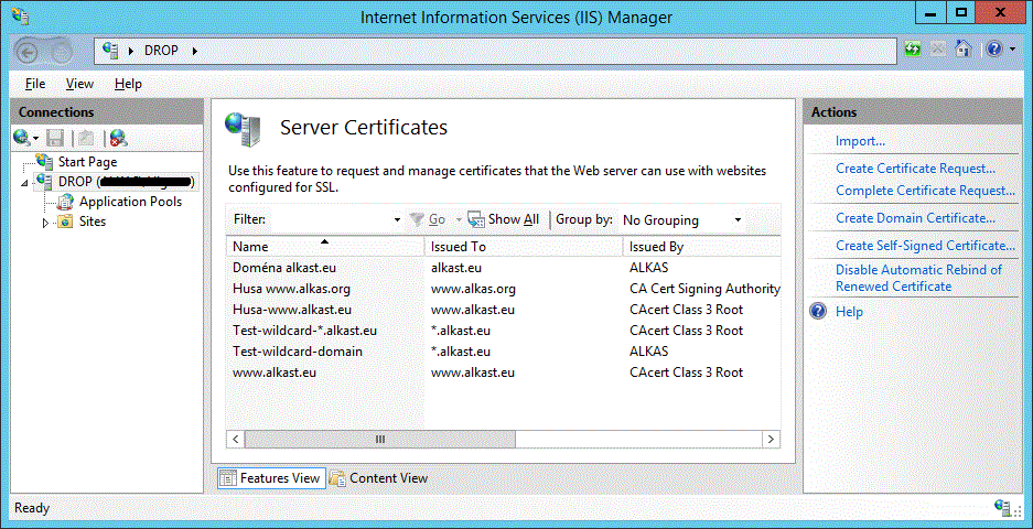 Web server certificates window
