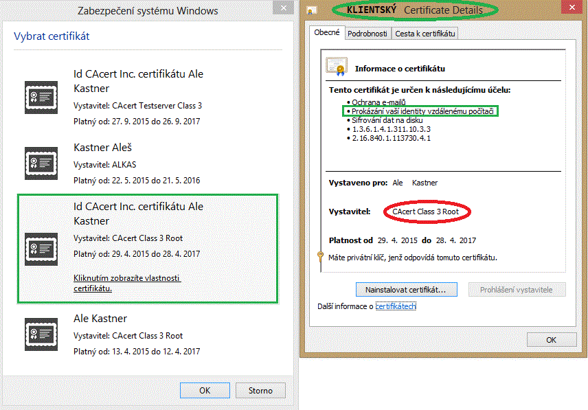 User login with the web browser IE10 from Windows (with the certificate contents display)